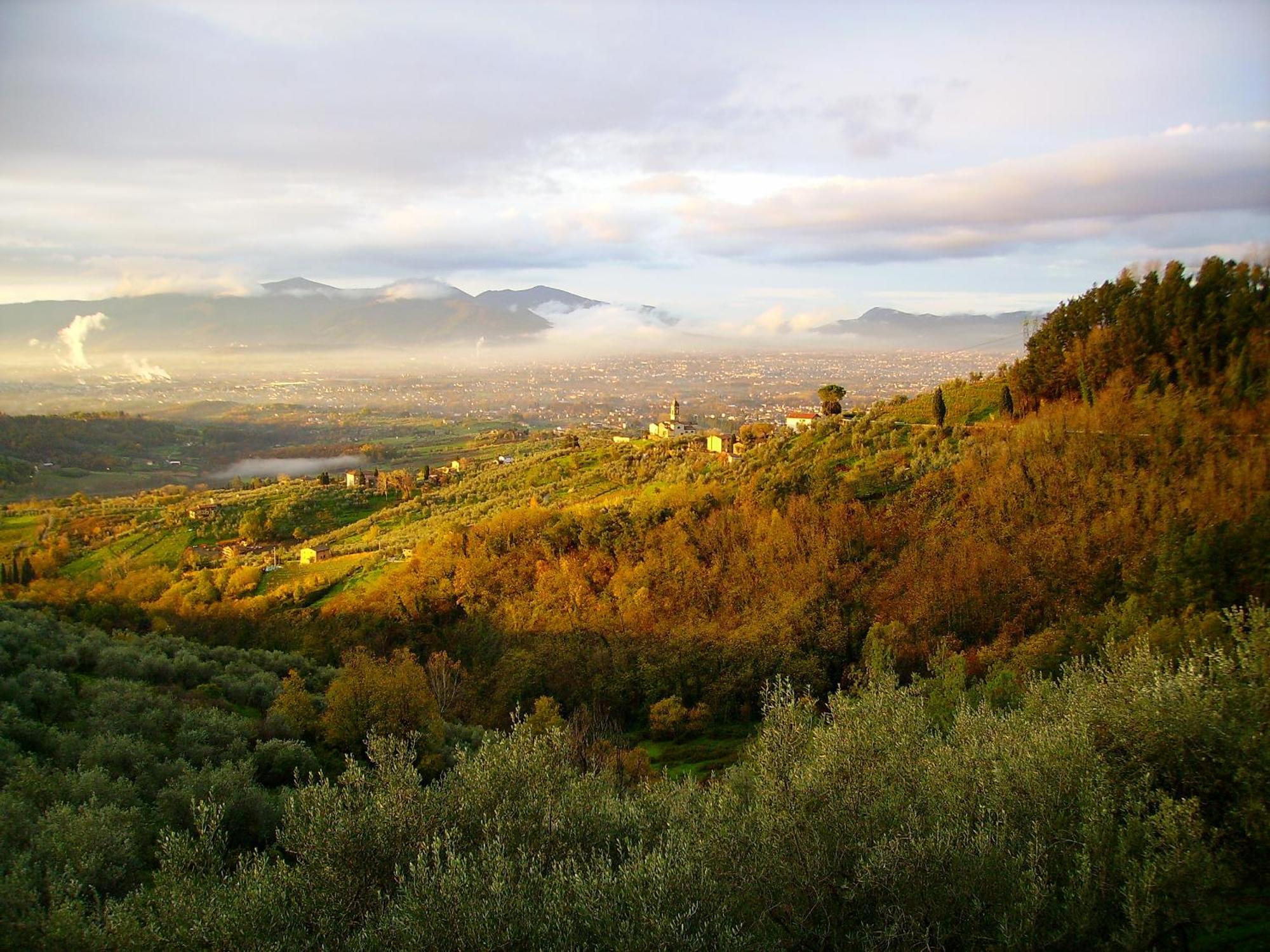 Fattoria Gambaro Di Petrognano Villa Collodi Eksteriør billede