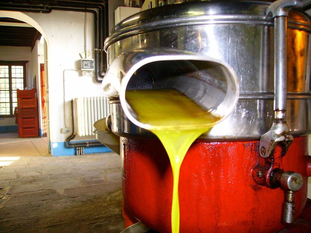 Fattoria Gambaro Di Petrognano Villa Collodi Eksteriør billede