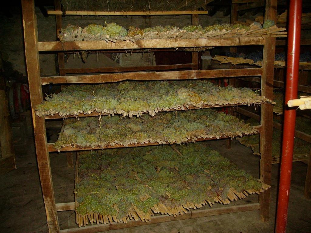 Fattoria Gambaro Di Petrognano Villa Collodi Eksteriør billede