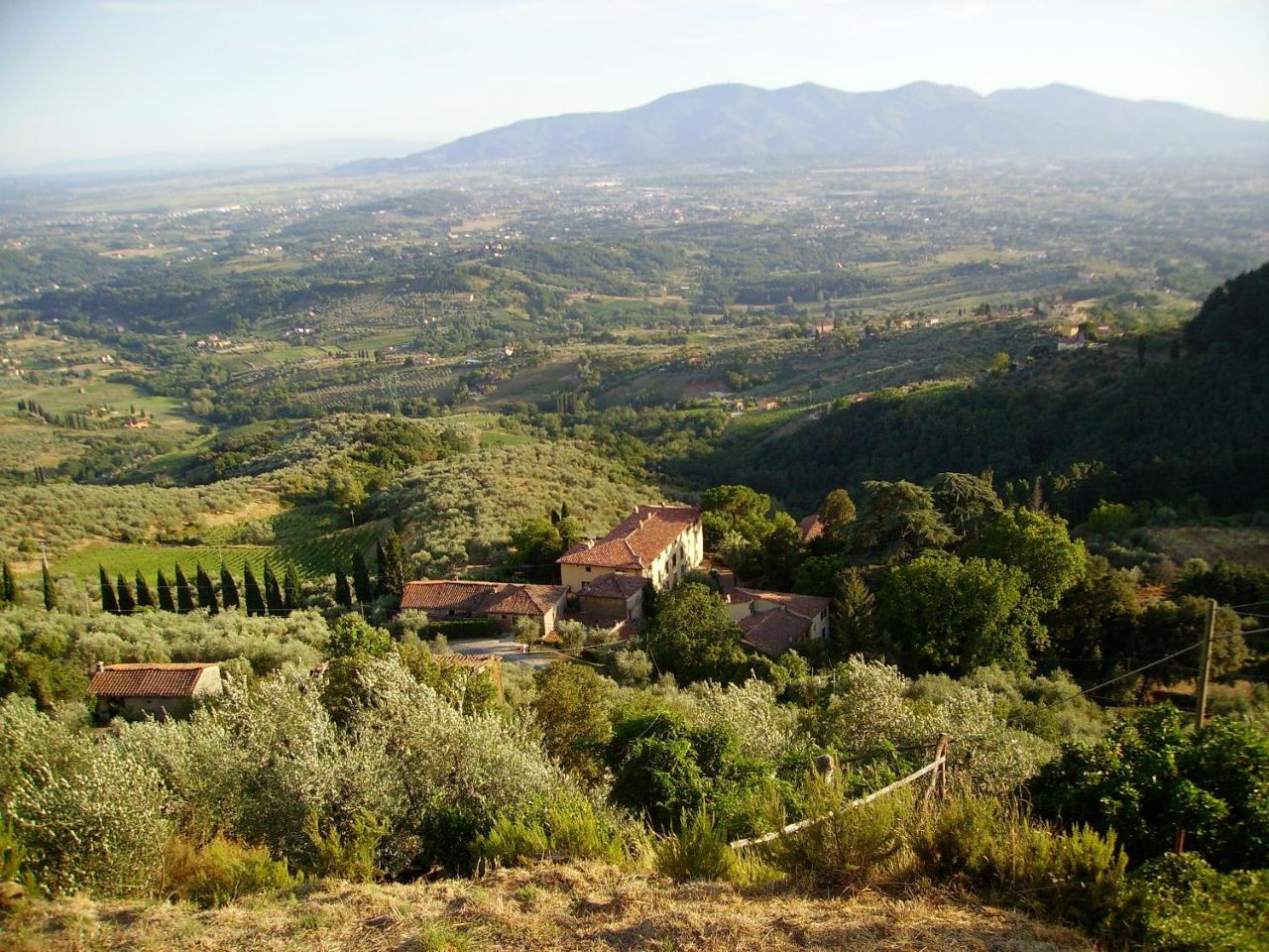 Fattoria Gambaro Di Petrognano Villa Collodi Eksteriør billede